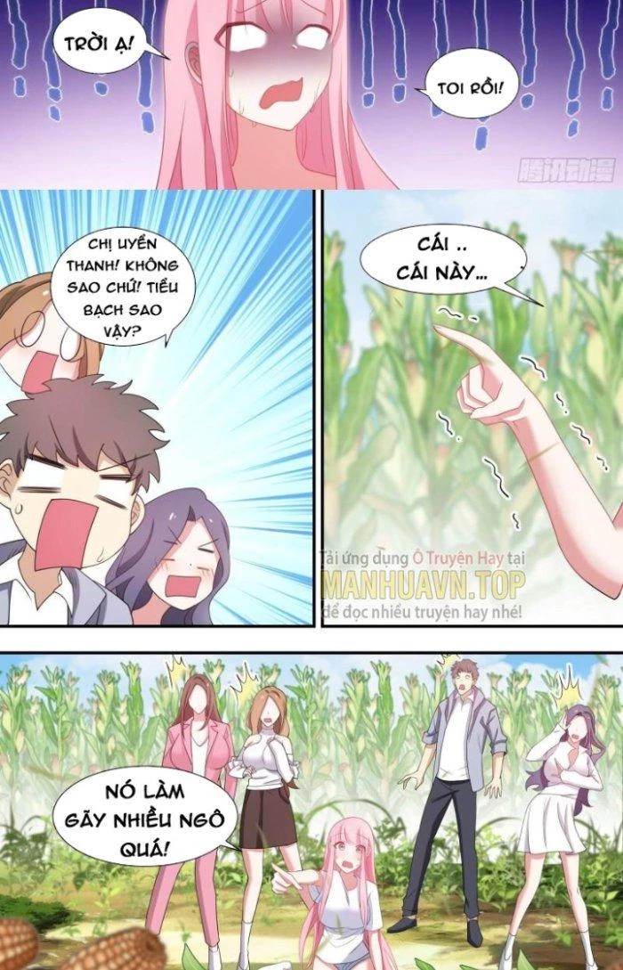 Trọng Sinh Thành Chó Của Nữ Thần Chapter 102 - Trang 2