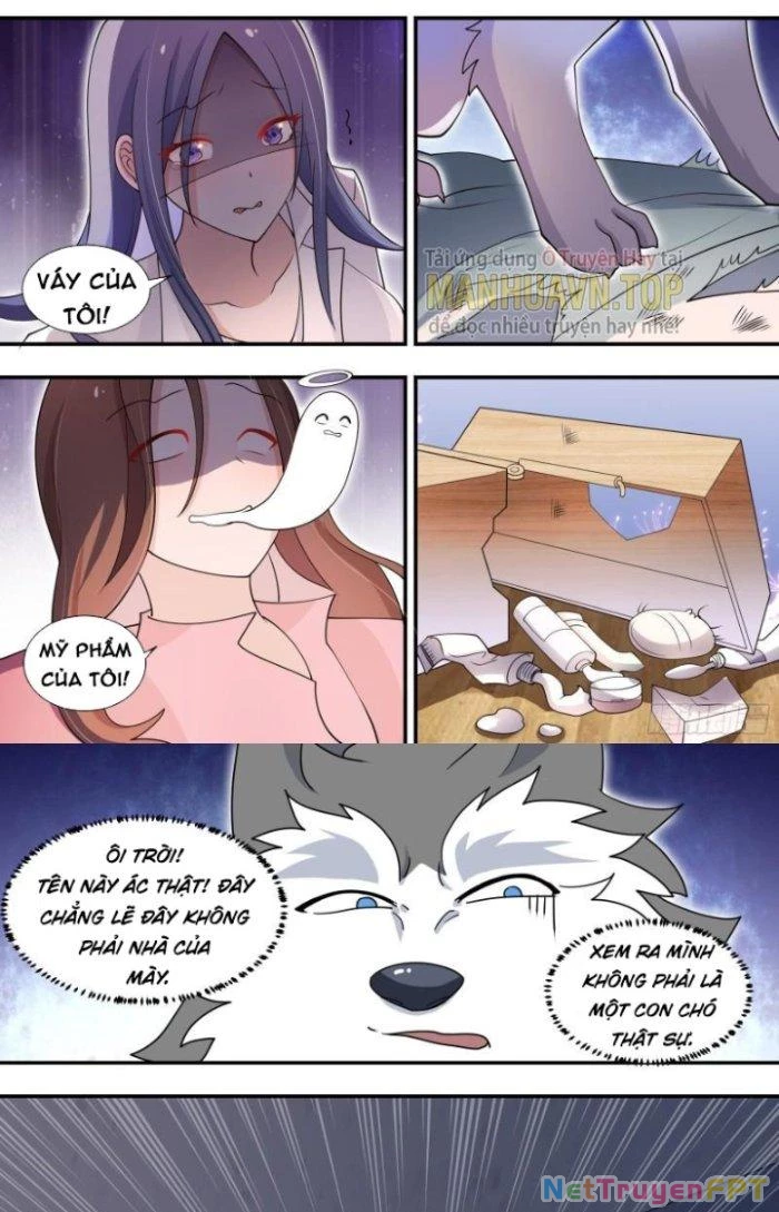 Trọng Sinh Thành Chó Của Nữ Thần Chapter 104 - Trang 2