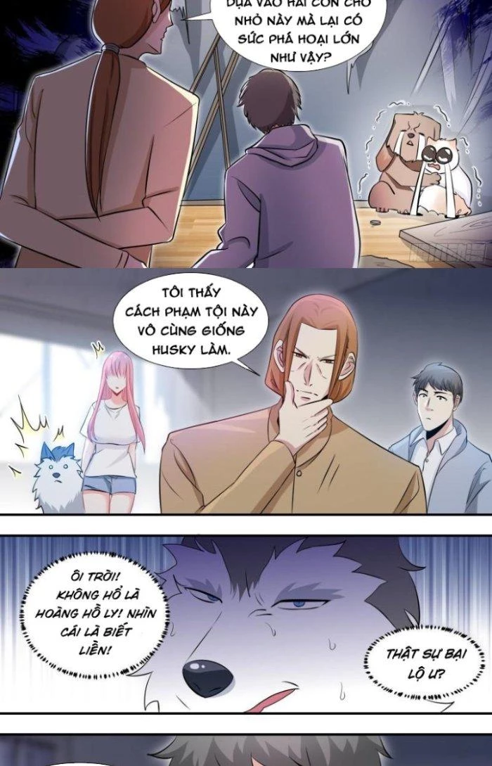 Trọng Sinh Thành Chó Của Nữ Thần Chapter 104 - Trang 2
