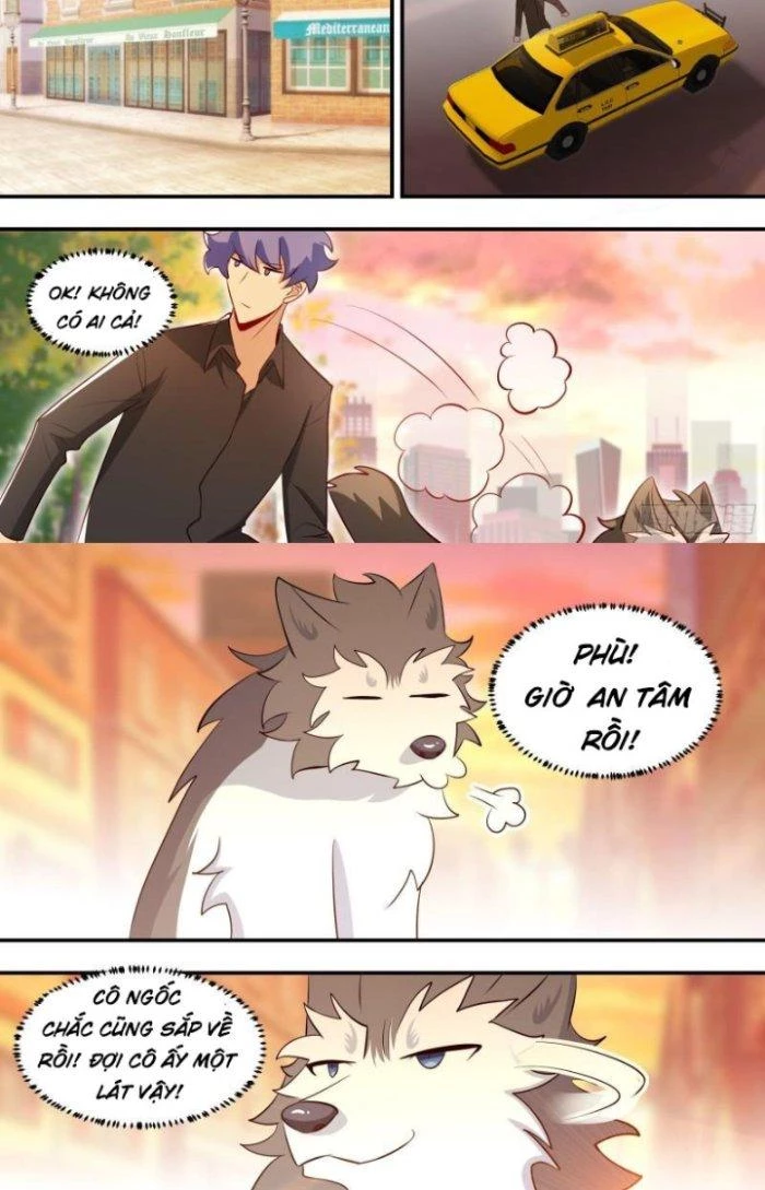 Trọng Sinh Thành Chó Của Nữ Thần Chapter 114 - Trang 2