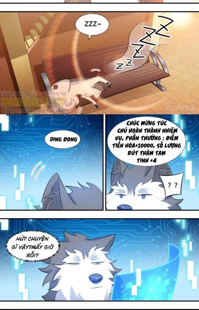 Trọng Sinh Thành Chó Của Nữ Thần Chapter 114 - Trang 2
