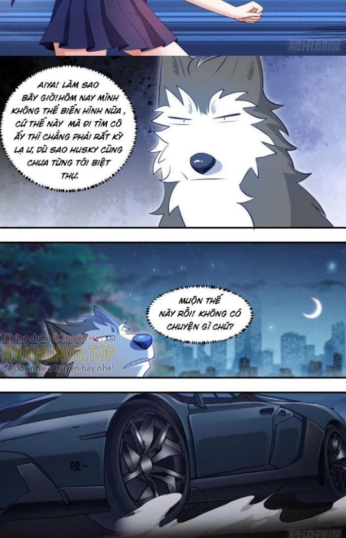 Trọng Sinh Thành Chó Của Nữ Thần Chapter 114 - Trang 2
