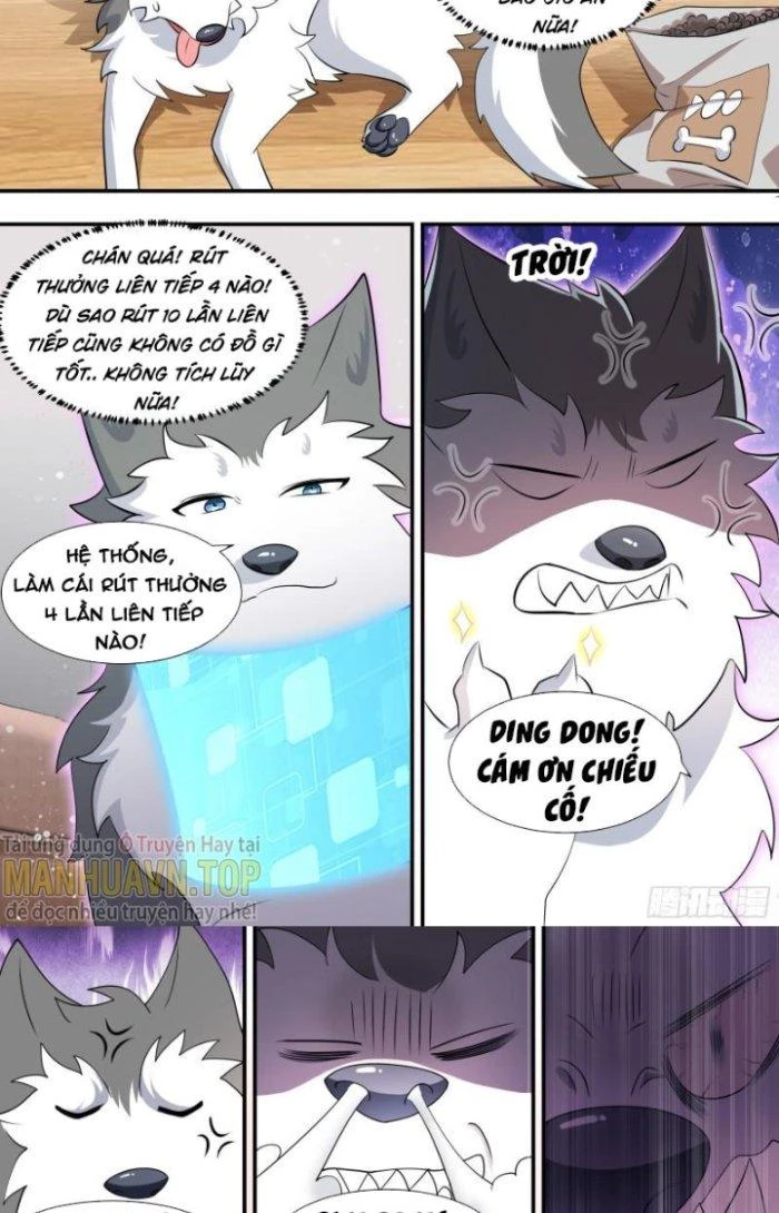 Trọng Sinh Thành Chó Của Nữ Thần Chapter 115 - Trang 2