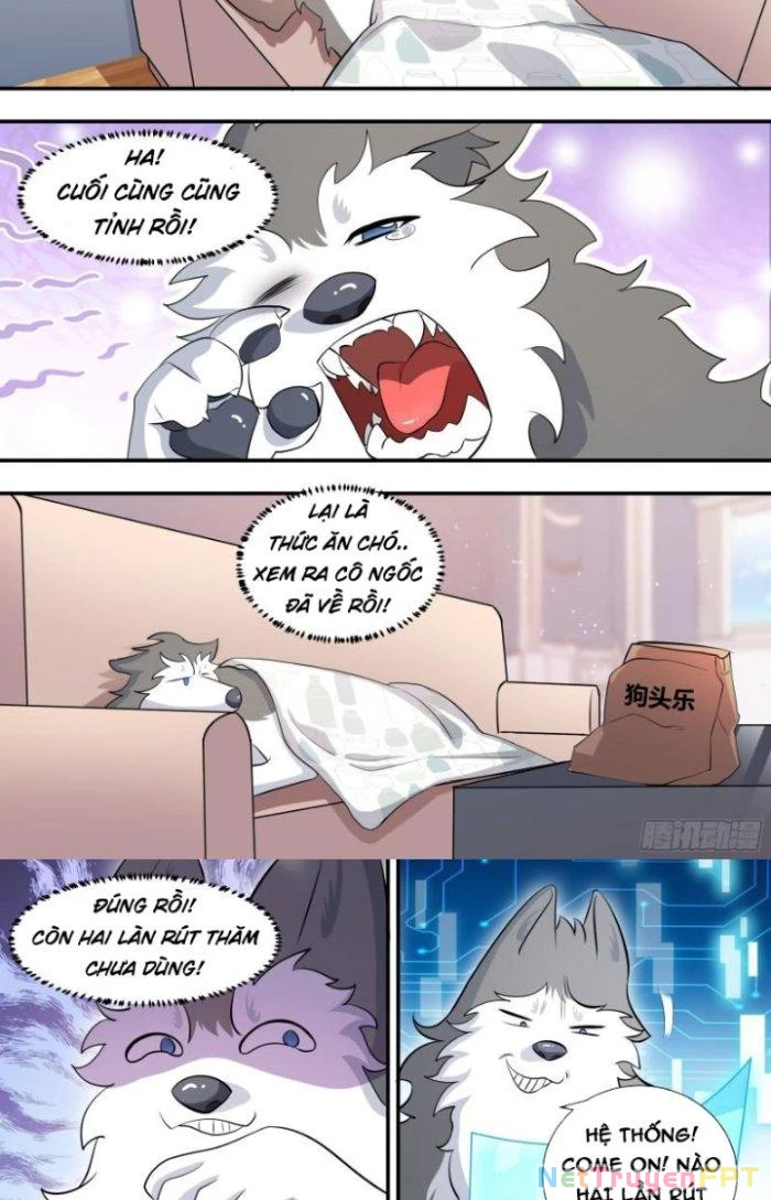 Trọng Sinh Thành Chó Của Nữ Thần Chapter 118 - Trang 2