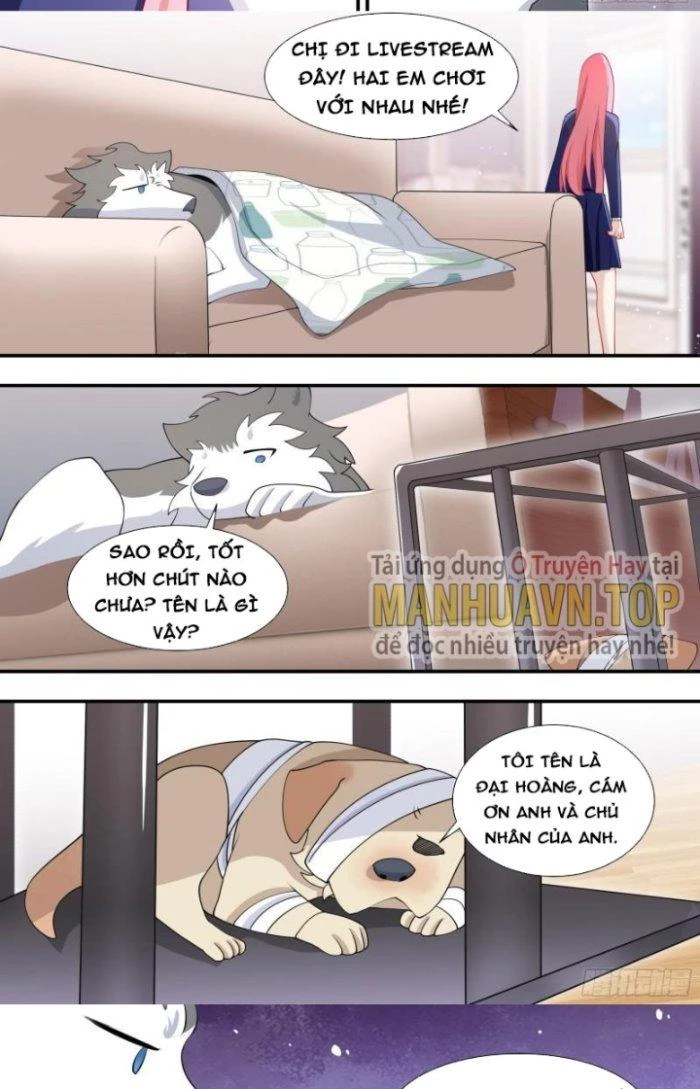 Trọng Sinh Thành Chó Của Nữ Thần Chapter 126 - Trang 2