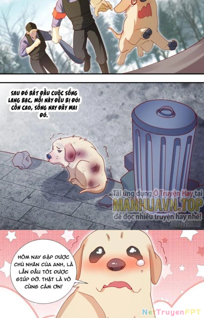 Trọng Sinh Thành Chó Của Nữ Thần Chapter 127 - Trang 2