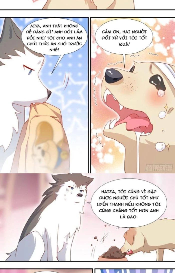 Trọng Sinh Thành Chó Của Nữ Thần Chapter 127 - Trang 2