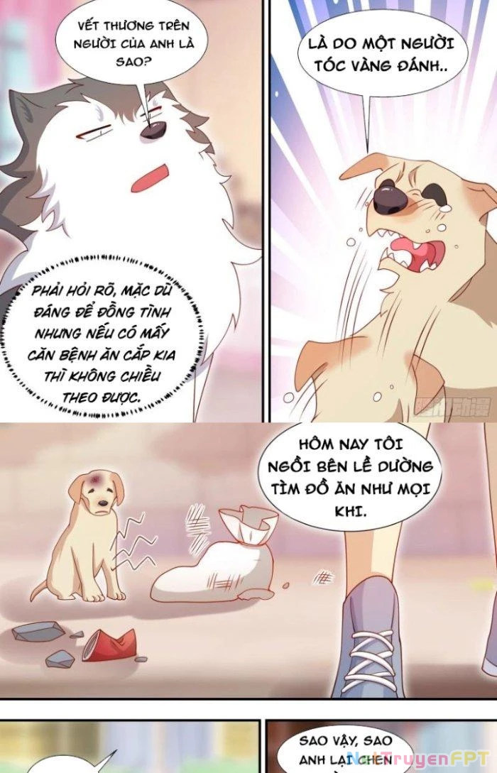 Trọng Sinh Thành Chó Của Nữ Thần Chapter 127 - Trang 2