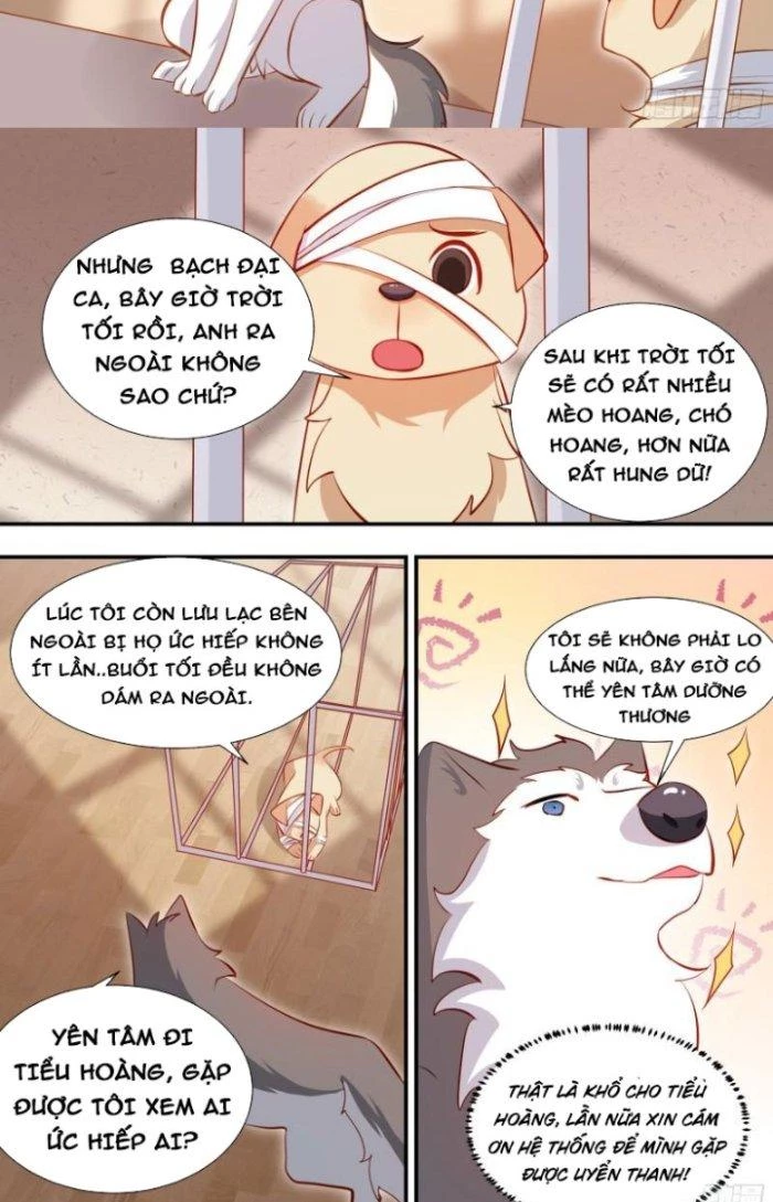 Trọng Sinh Thành Chó Của Nữ Thần Chapter 127 - Trang 2