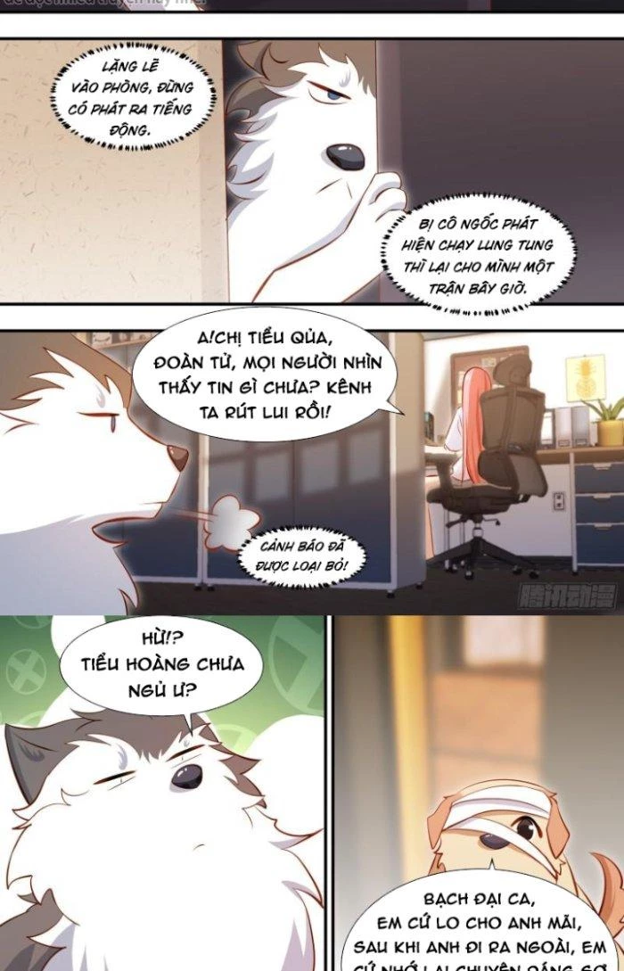 Trọng Sinh Thành Chó Của Nữ Thần Chapter 131 - Trang 2