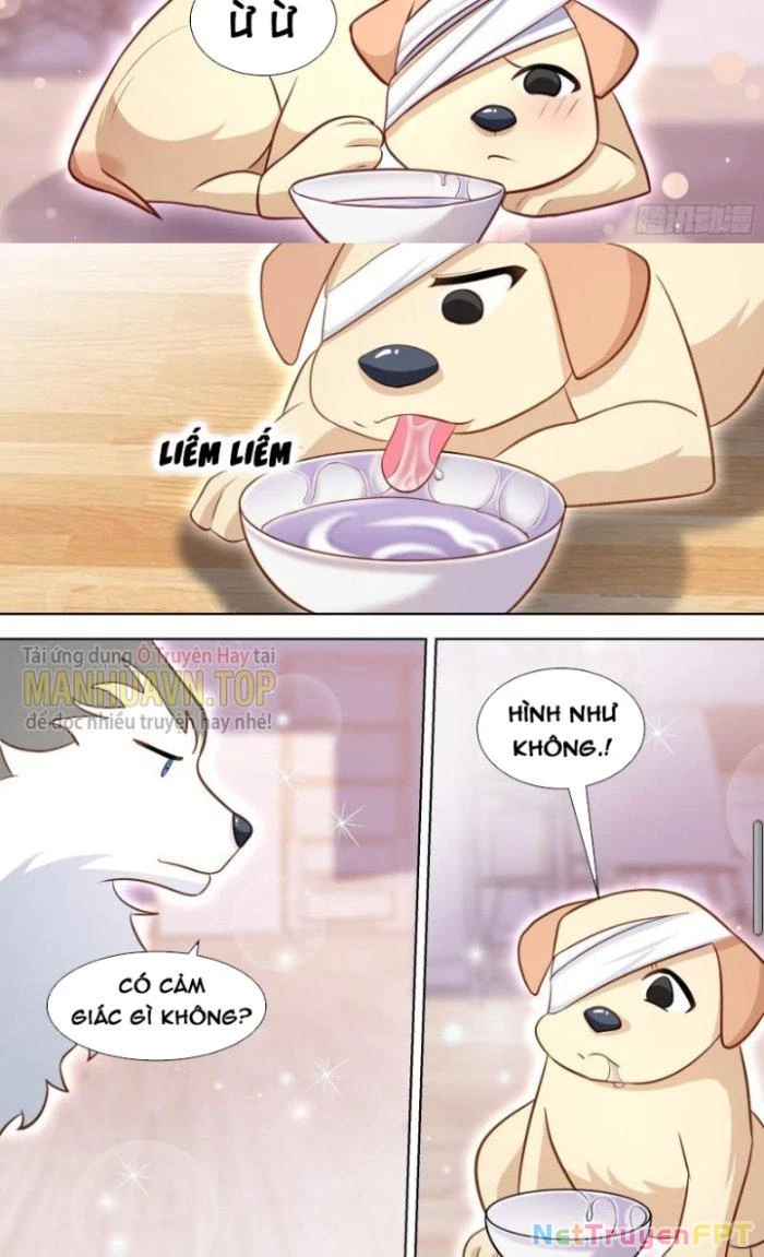 Trọng Sinh Thành Chó Của Nữ Thần Chapter 139 - Trang 2