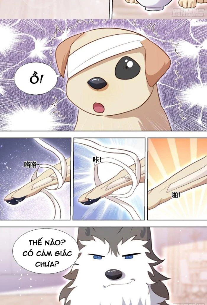 Trọng Sinh Thành Chó Của Nữ Thần Chapter 139 - Trang 2