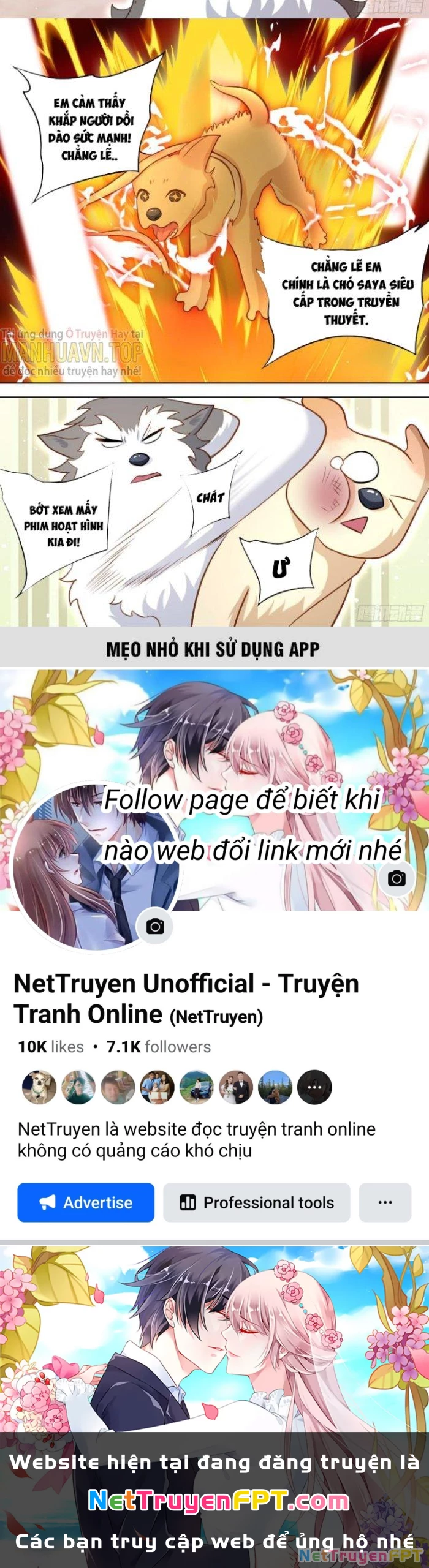Trọng Sinh Thành Chó Của Nữ Thần Chapter 139 - Trang 2