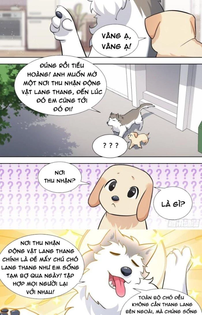 Trọng Sinh Thành Chó Của Nữ Thần Chapter 140 - Trang 2