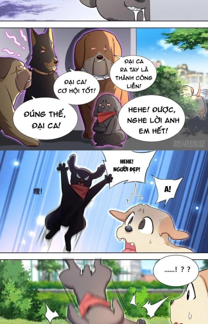 Trọng Sinh Thành Chó Của Nữ Thần Chapter 140 - Trang 2