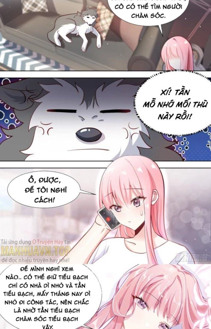 Trọng Sinh Thành Chó Của Nữ Thần Chapter 146 - Trang 2