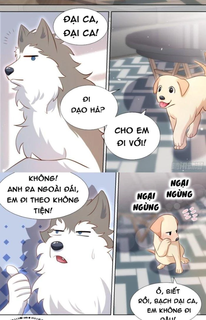 Trọng Sinh Thành Chó Của Nữ Thần Chapter 146 - Trang 2