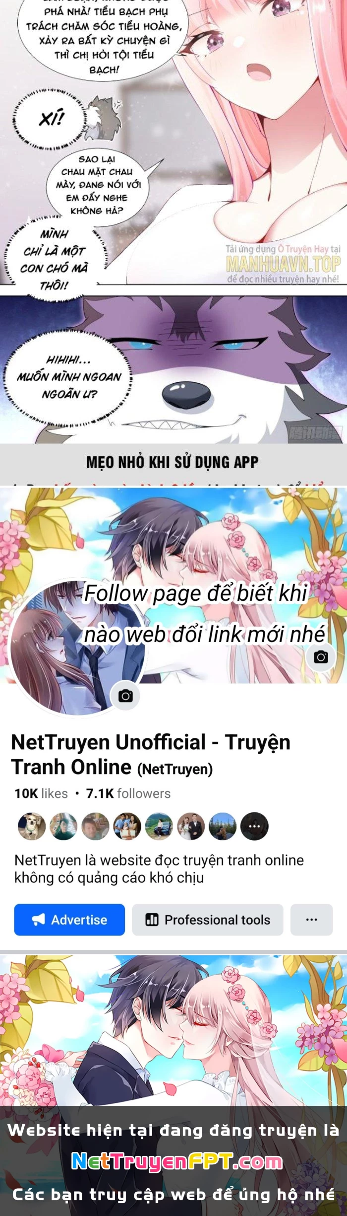Trọng Sinh Thành Chó Của Nữ Thần Chapter 146 - Trang 2