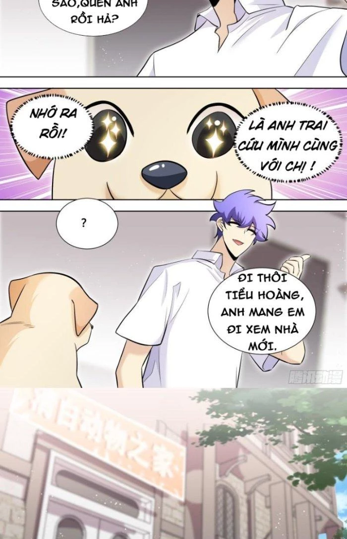 Trọng Sinh Thành Chó Của Nữ Thần Chapter 147 - Trang 2