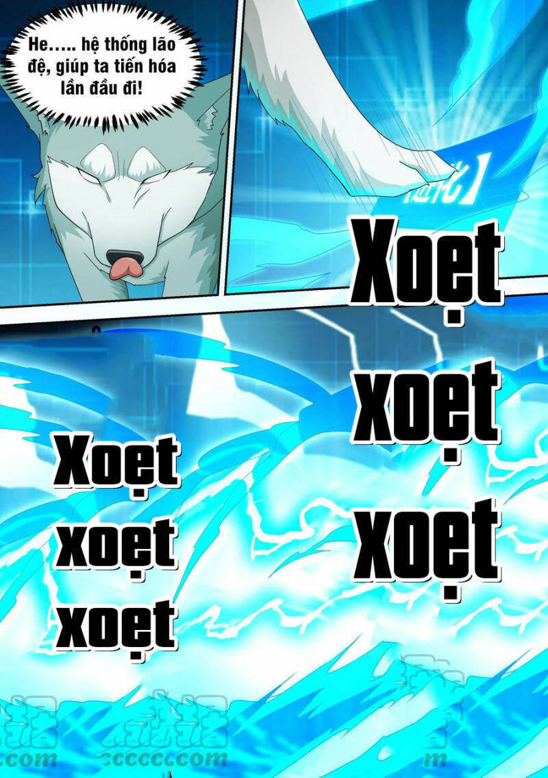 Trọng Sinh Thành Chó Của Nữ Thần Chapter 15 - Trang 2