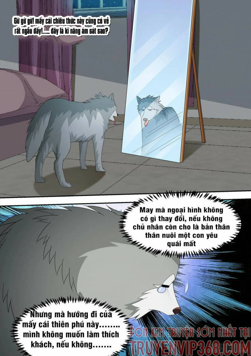 Trọng Sinh Thành Chó Của Nữ Thần Chapter 15 - Trang 2