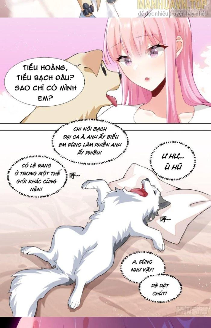 Trọng Sinh Thành Chó Của Nữ Thần Chapter 150 - Trang 2