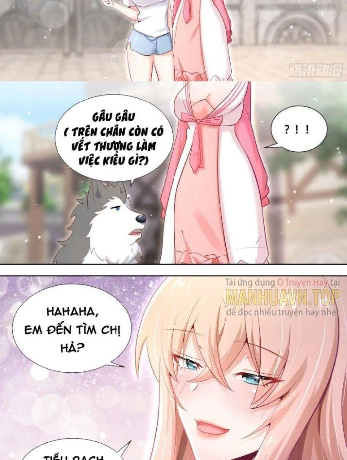 Trọng Sinh Thành Chó Của Nữ Thần Chapter 151 - Trang 2