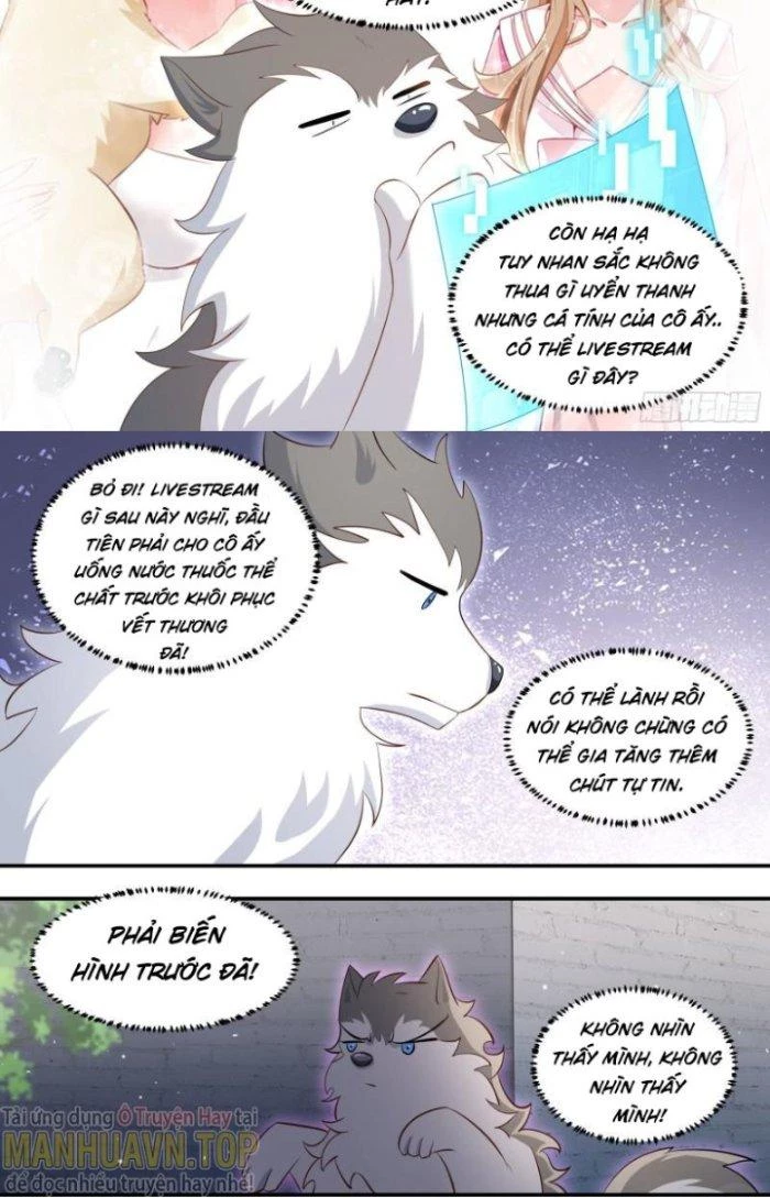 Trọng Sinh Thành Chó Của Nữ Thần Chapter 152 - Trang 2