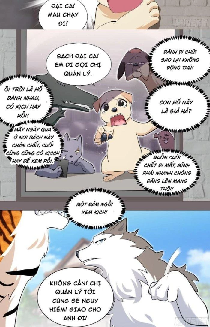 Trọng Sinh Thành Chó Của Nữ Thần Chapter 157 - Trang 2