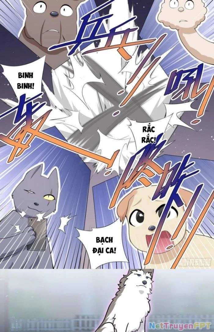 Trọng Sinh Thành Chó Của Nữ Thần Chapter 158 - Trang 2