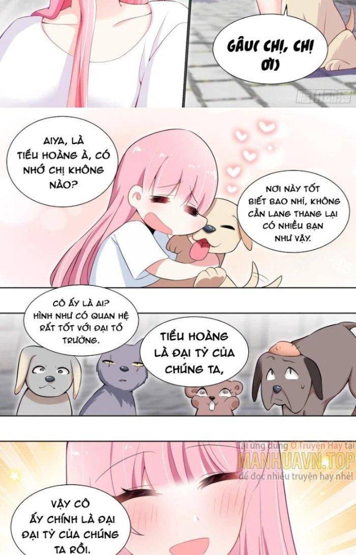 Trọng Sinh Thành Chó Của Nữ Thần Chapter 159 - Trang 2