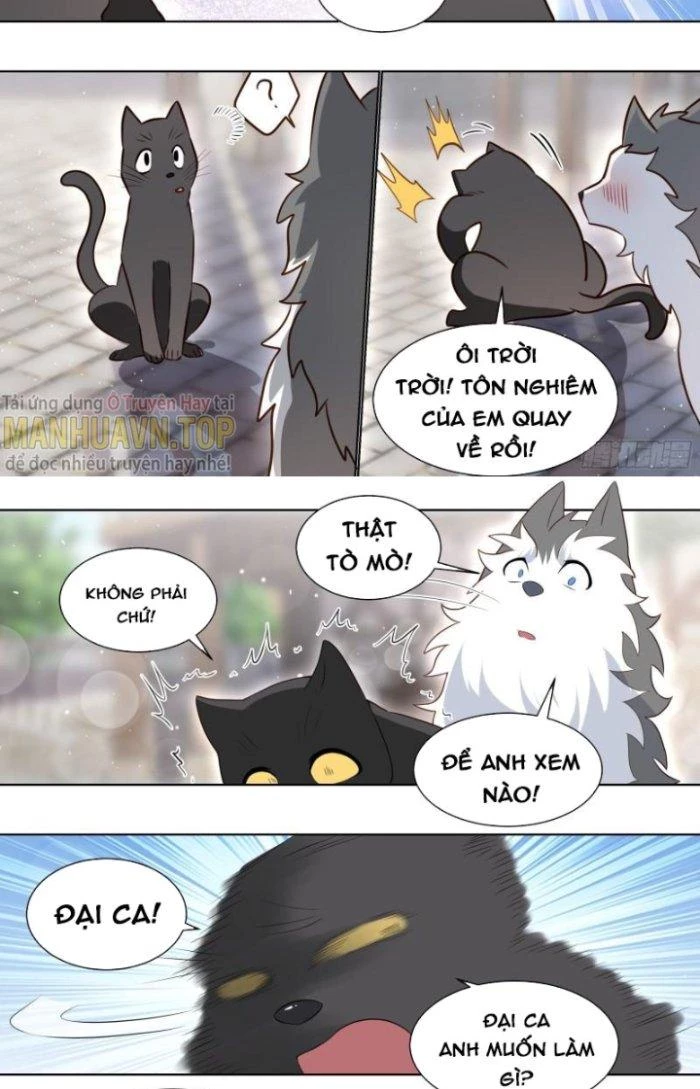 Trọng Sinh Thành Chó Của Nữ Thần Chapter 160 - Trang 2