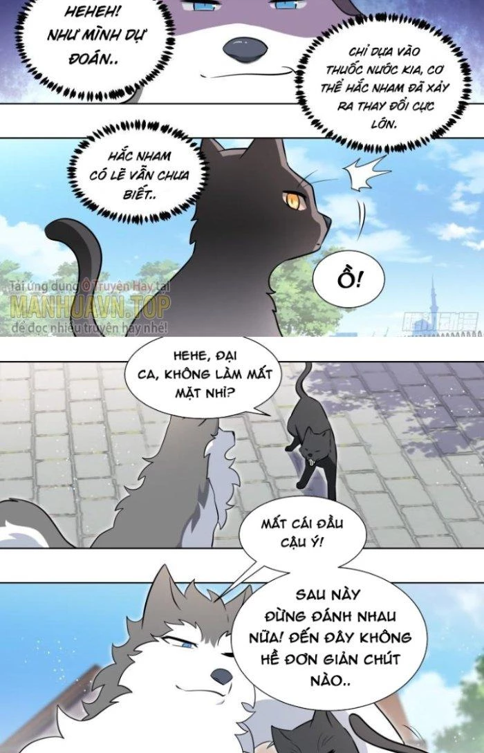 Trọng Sinh Thành Chó Của Nữ Thần Chapter 161 - Trang 2