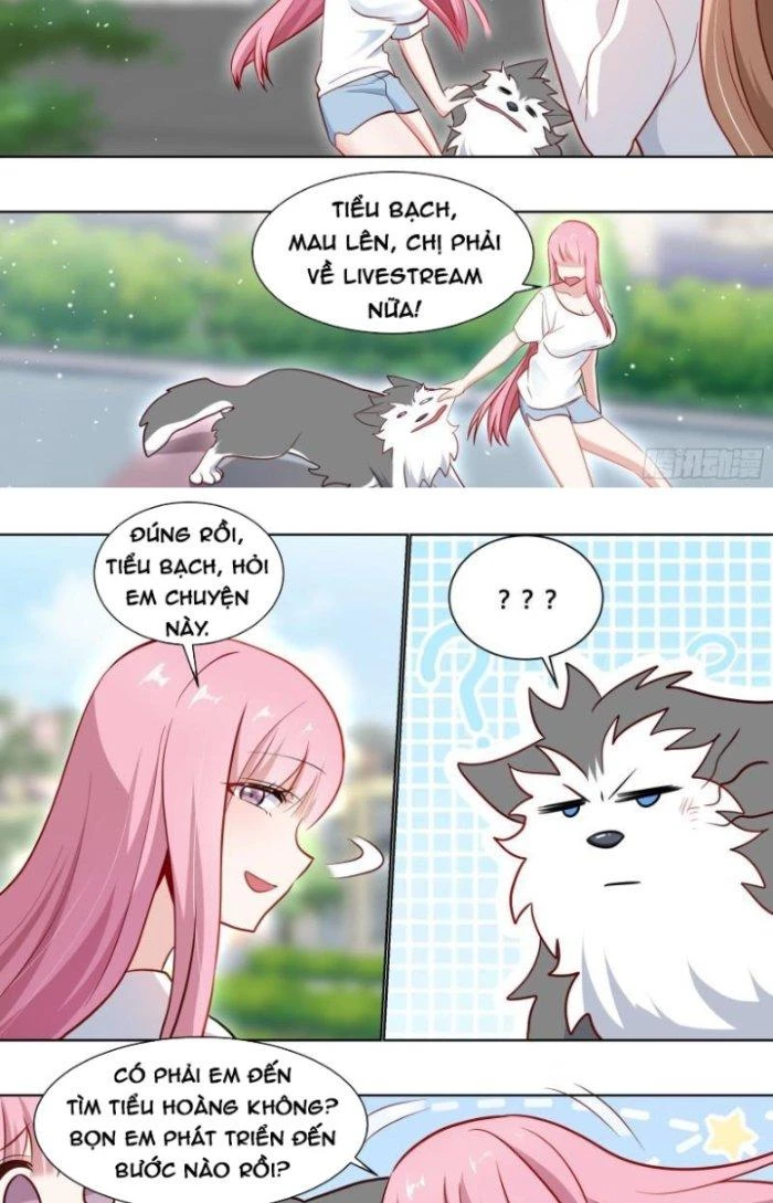 Trọng Sinh Thành Chó Của Nữ Thần Chapter 162 - Trang 2