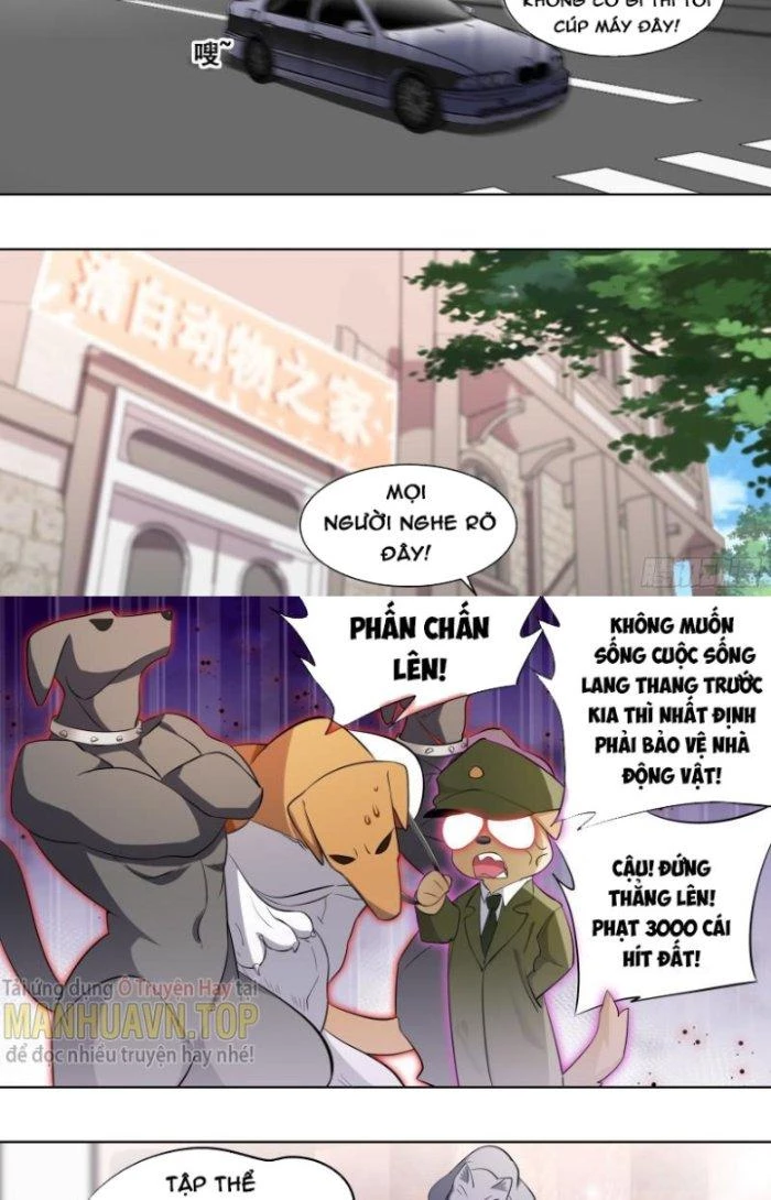 Trọng Sinh Thành Chó Của Nữ Thần Chapter 167 - Trang 2