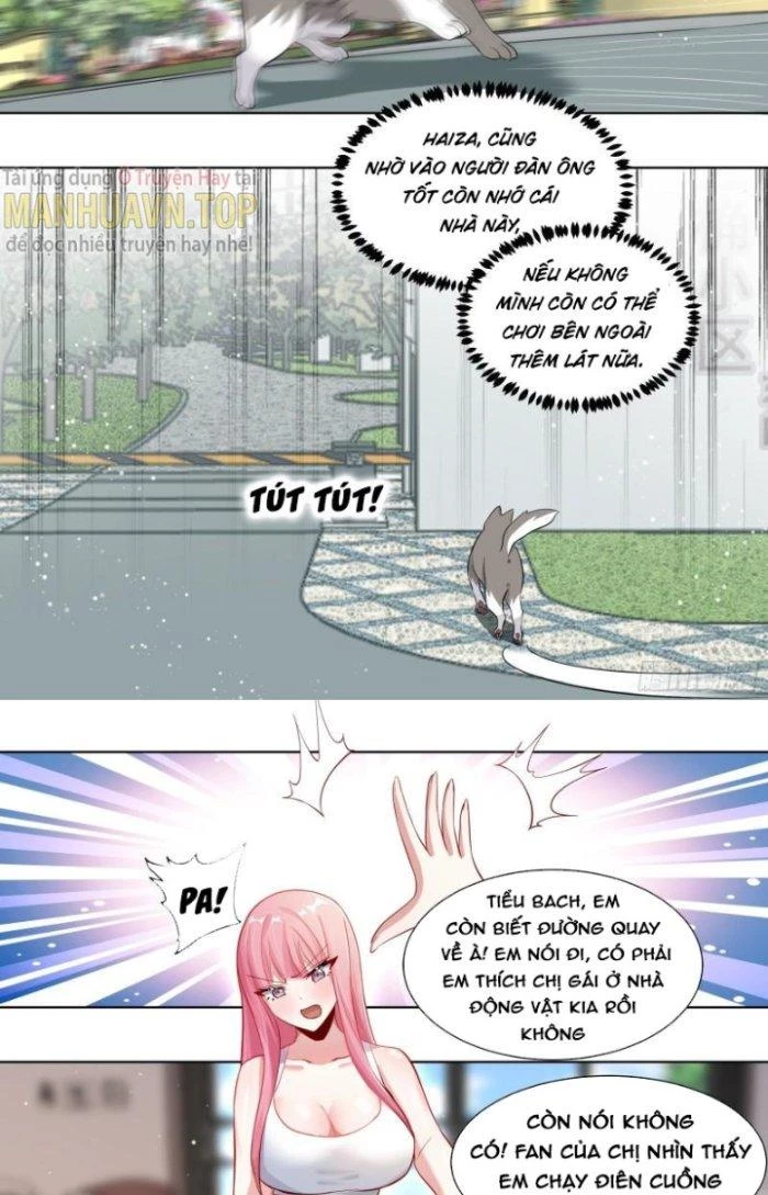 Trọng Sinh Thành Chó Của Nữ Thần Chapter 169 - Trang 2