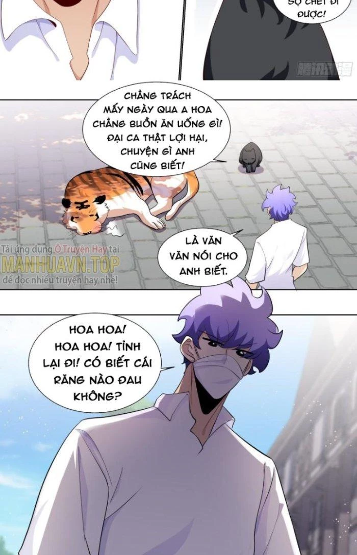 Trọng Sinh Thành Chó Của Nữ Thần Chapter 170 - Trang 2