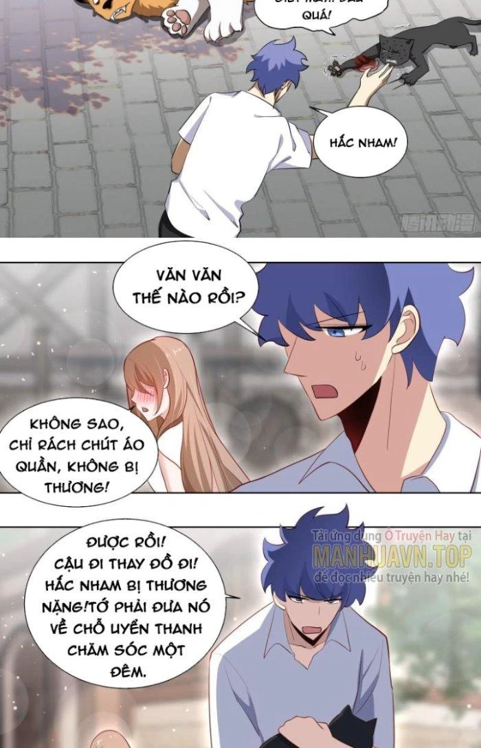Trọng Sinh Thành Chó Của Nữ Thần Chapter 171 - Trang 2