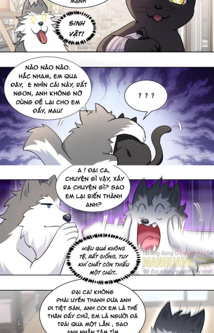 Trọng Sinh Thành Chó Của Nữ Thần Chapter 172 - Trang 2