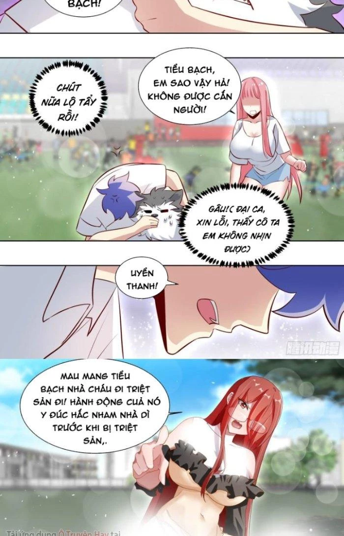 Trọng Sinh Thành Chó Của Nữ Thần Chapter 173 - Trang 2