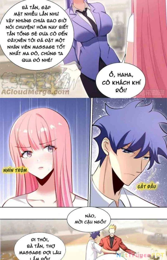 Trọng Sinh Thành Chó Của Nữ Thần Chapter 176 - Trang 2