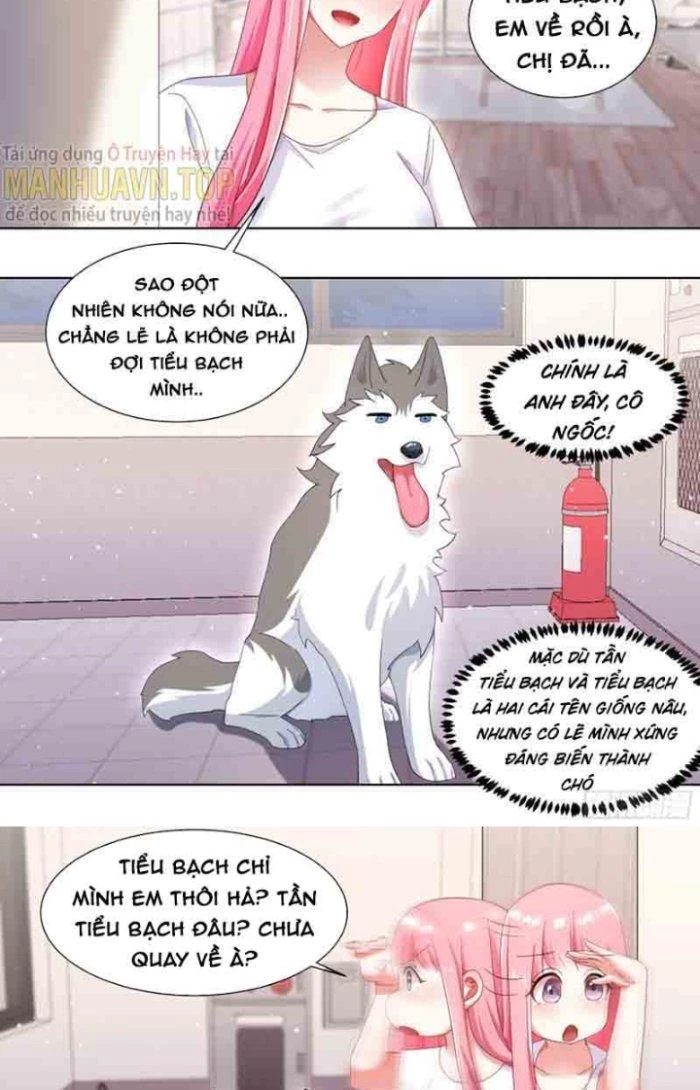 Trọng Sinh Thành Chó Của Nữ Thần Chapter 177 - Trang 2