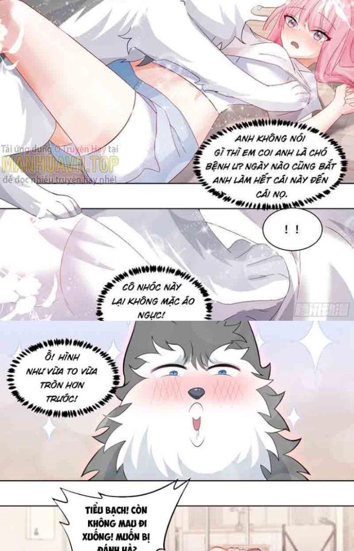 Trọng Sinh Thành Chó Của Nữ Thần Chapter 177 - Trang 2