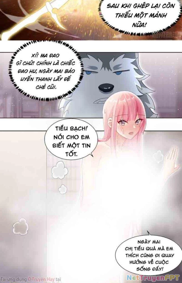 Trọng Sinh Thành Chó Của Nữ Thần Chapter 177 - Trang 2
