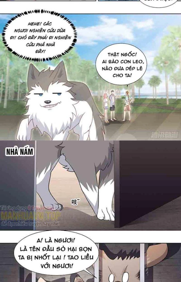 Trọng Sinh Thành Chó Của Nữ Thần Chapter 178 - Trang 2