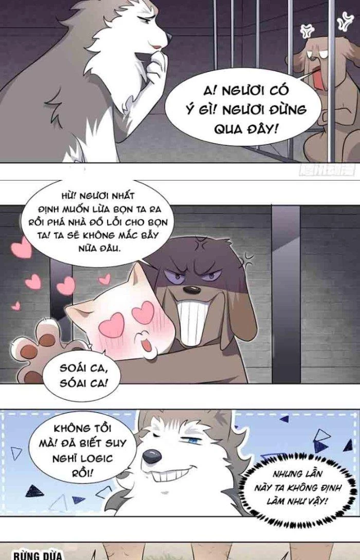 Trọng Sinh Thành Chó Của Nữ Thần Chapter 178 - Trang 2