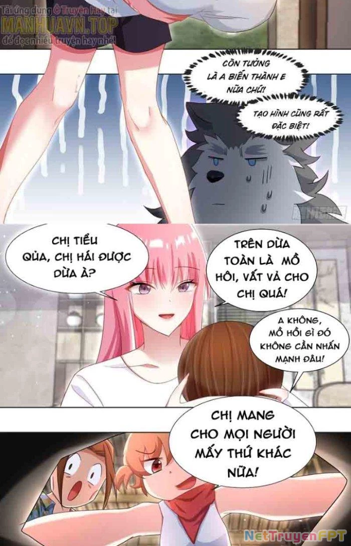 Trọng Sinh Thành Chó Của Nữ Thần Chapter 179 - Trang 2