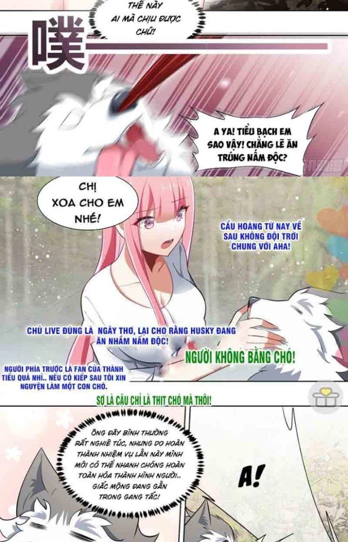 Trọng Sinh Thành Chó Của Nữ Thần Chapter 180 - Trang 2