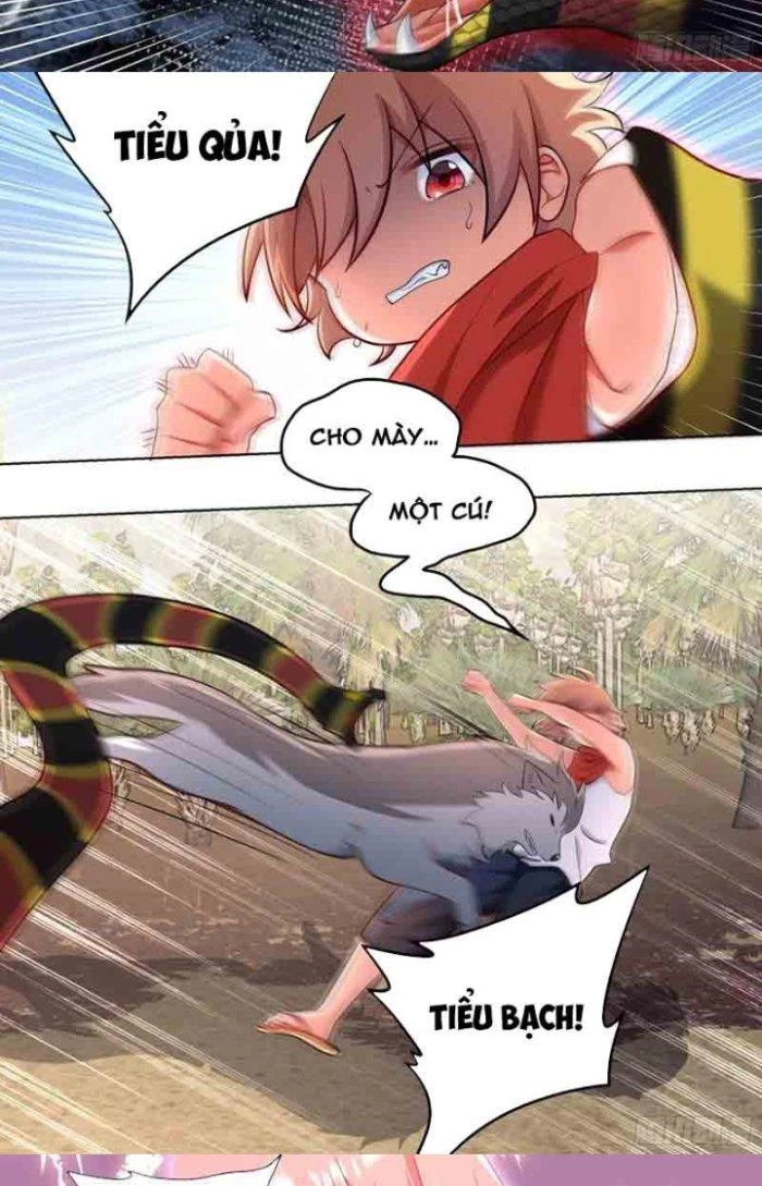 Trọng Sinh Thành Chó Của Nữ Thần Chapter 180 - Trang 2