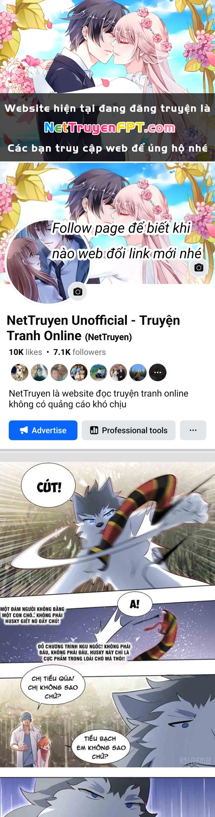 Trọng Sinh Thành Chó Của Nữ Thần Chapter 181 - Trang 2